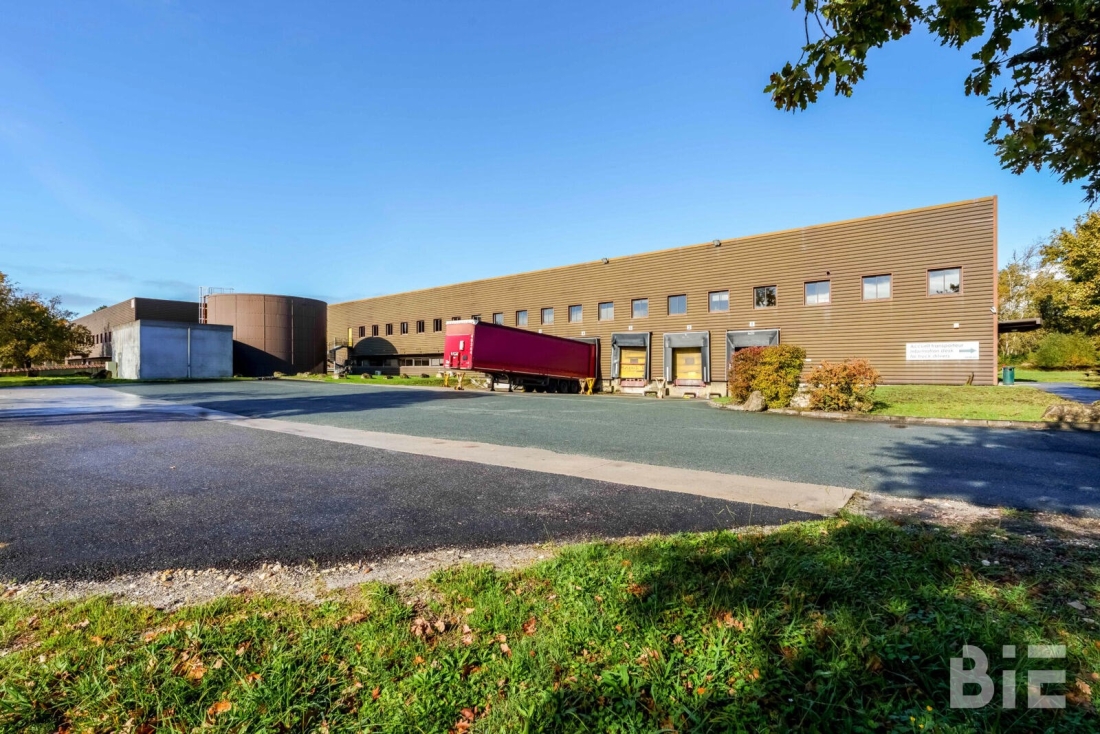 Photo 4 – Location entrepôts / activités	CANEJAN (33610)