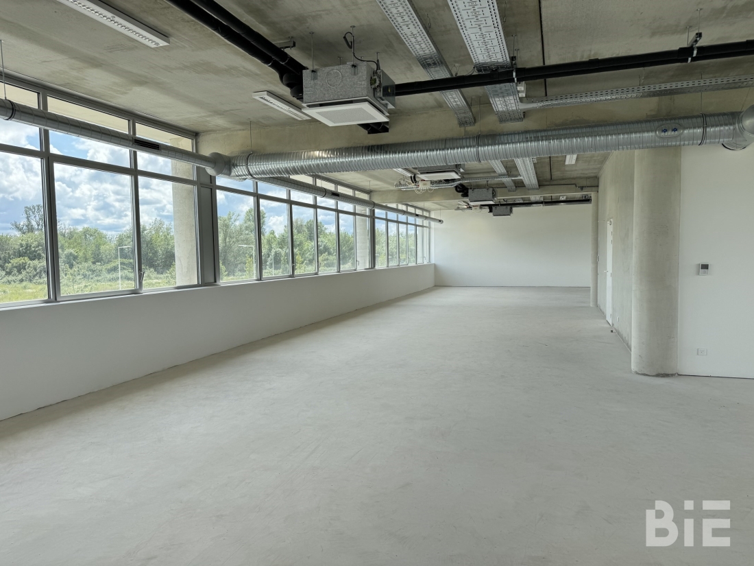 Photo 5 – Location bureaux	VILLENAVE D'ORNON (33140)