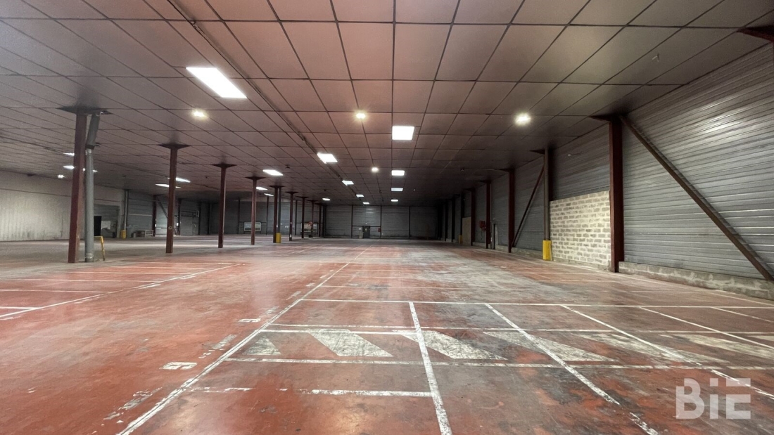 Photo 8 – Location entrepôts / activités	CARBON BLANC (33560)