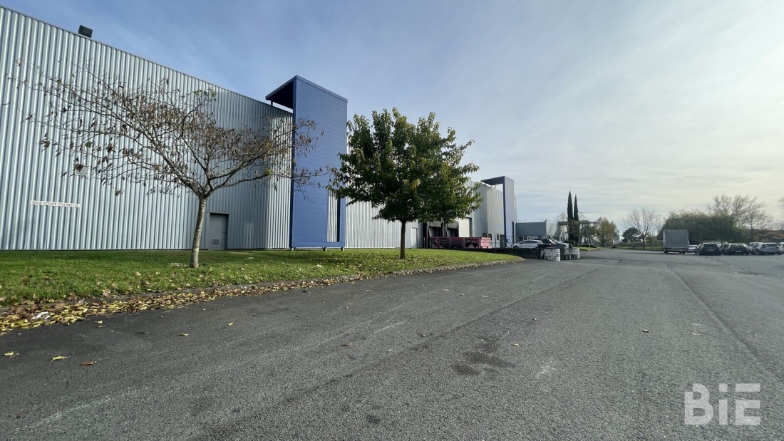 Photo 1 – Location entrepôts / activités	BLANQUEFORT (33290)