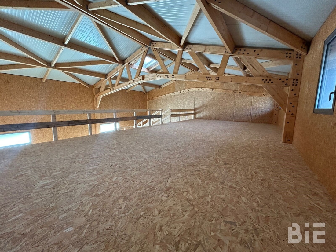 Photo 9 – Vente entrepôts / activités	LE HAILLAN (33185)