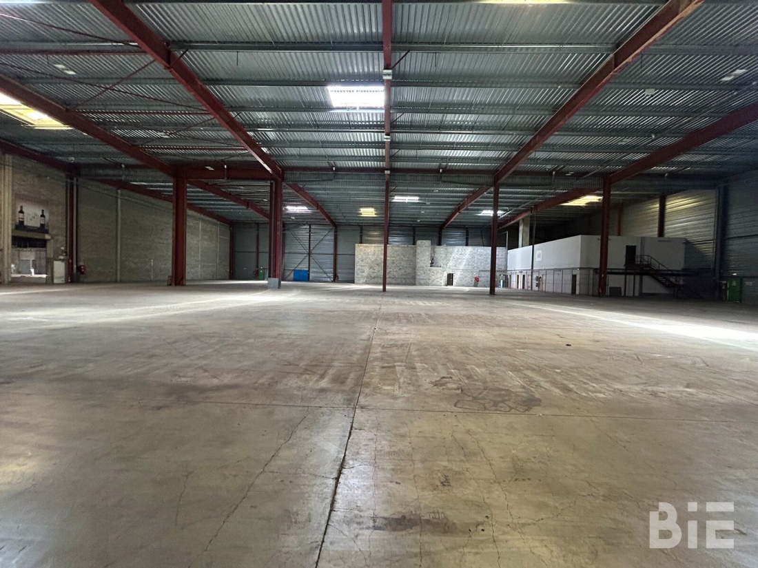 Photo 6 – Location entrepôts / activités	AMBARES ET LAGRAVE (33440)