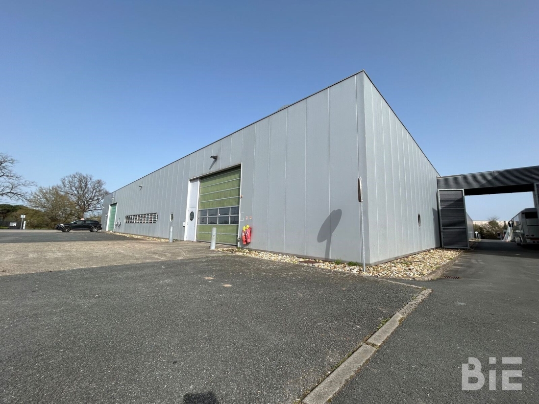 Photo 5 – Location entrepôts / activités	MERIGNAC (33700)