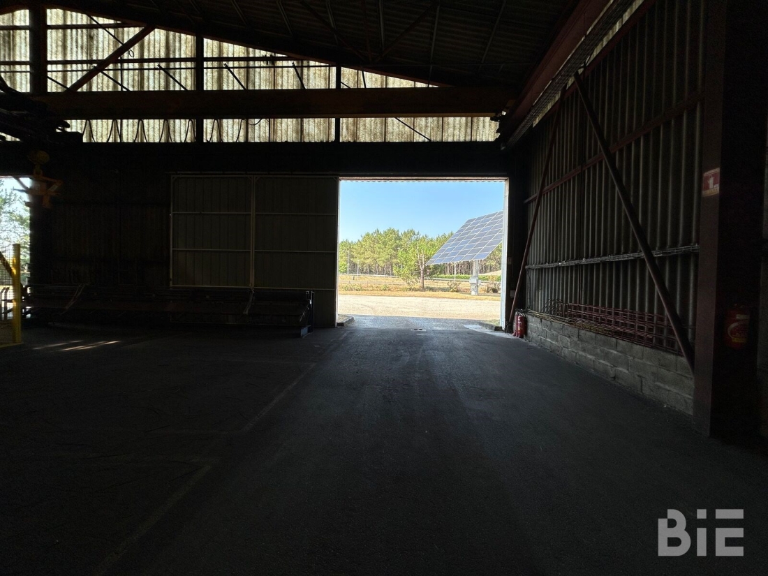 Photo 14 – Location entrepôts / activités	SAUGNACQ ET MURET (40410)