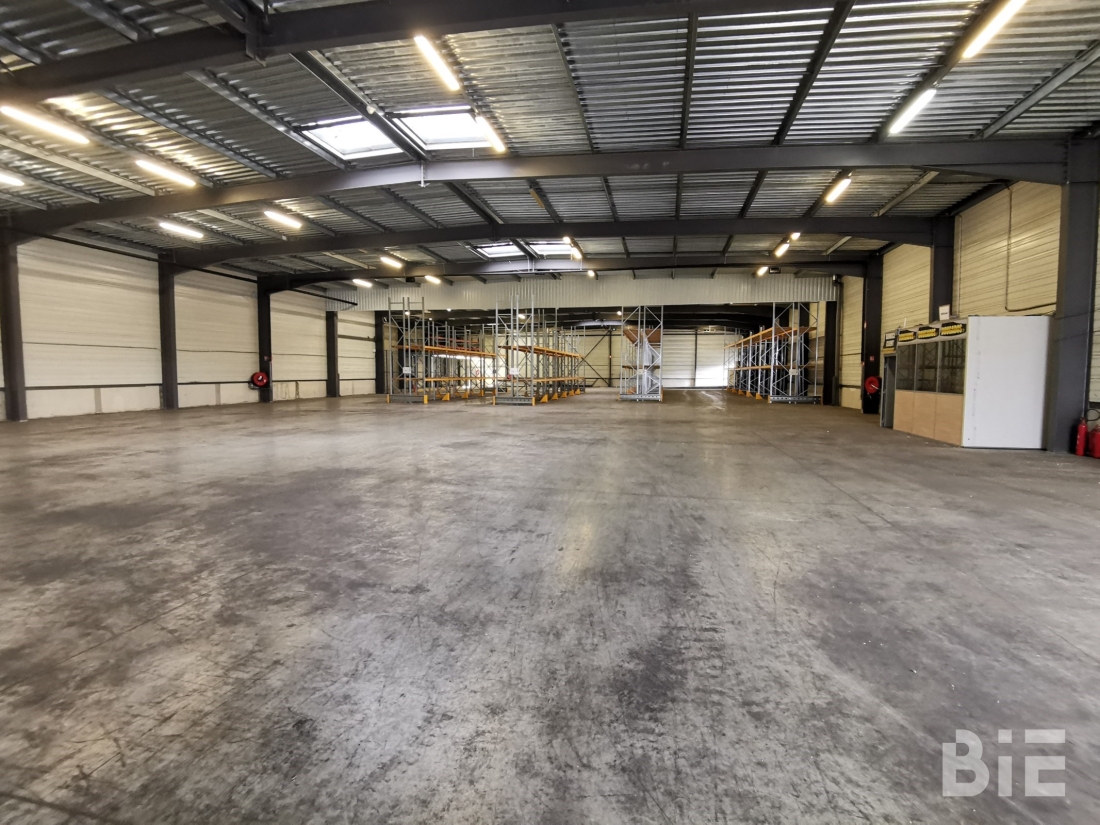 Photo 3 – Location entrepôts / activités	LE HAILLAN (33185)