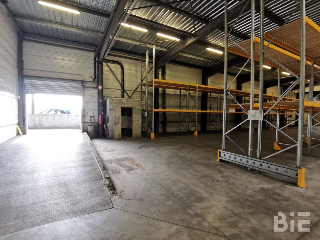 Photo 4 – Location entrepôts / activités	LE HAILLAN (33185)