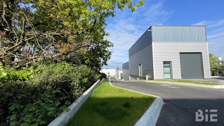 Photo 1 – Vente entrepôts / activités	BASSENS (33530)