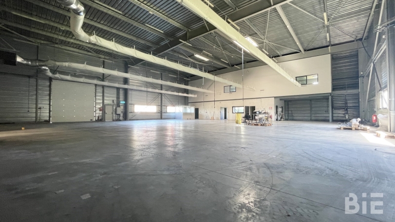 Photo 1 – Vente entrepôts / activités	GENSAC LA PALLUE (16130)