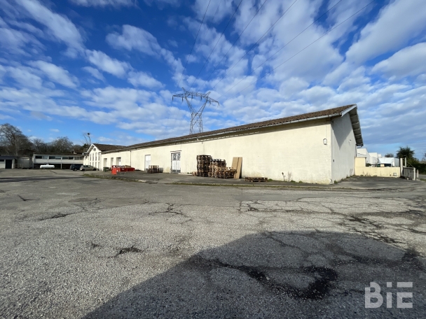 Photo 1 – Location entrepôts / activités	SAINTE EULALIE (33560)