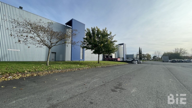 Photo 1 – Location entrepôts / activités	BLANQUEFORT (33290)