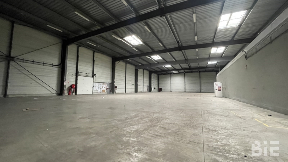 Photo 5 – Location entrepôts / activités	BLANQUEFORT (33290)