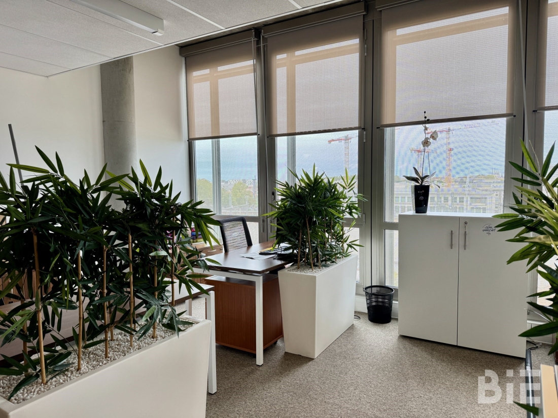 Photo 5 – Location bureaux	BORDEAUX (33800)