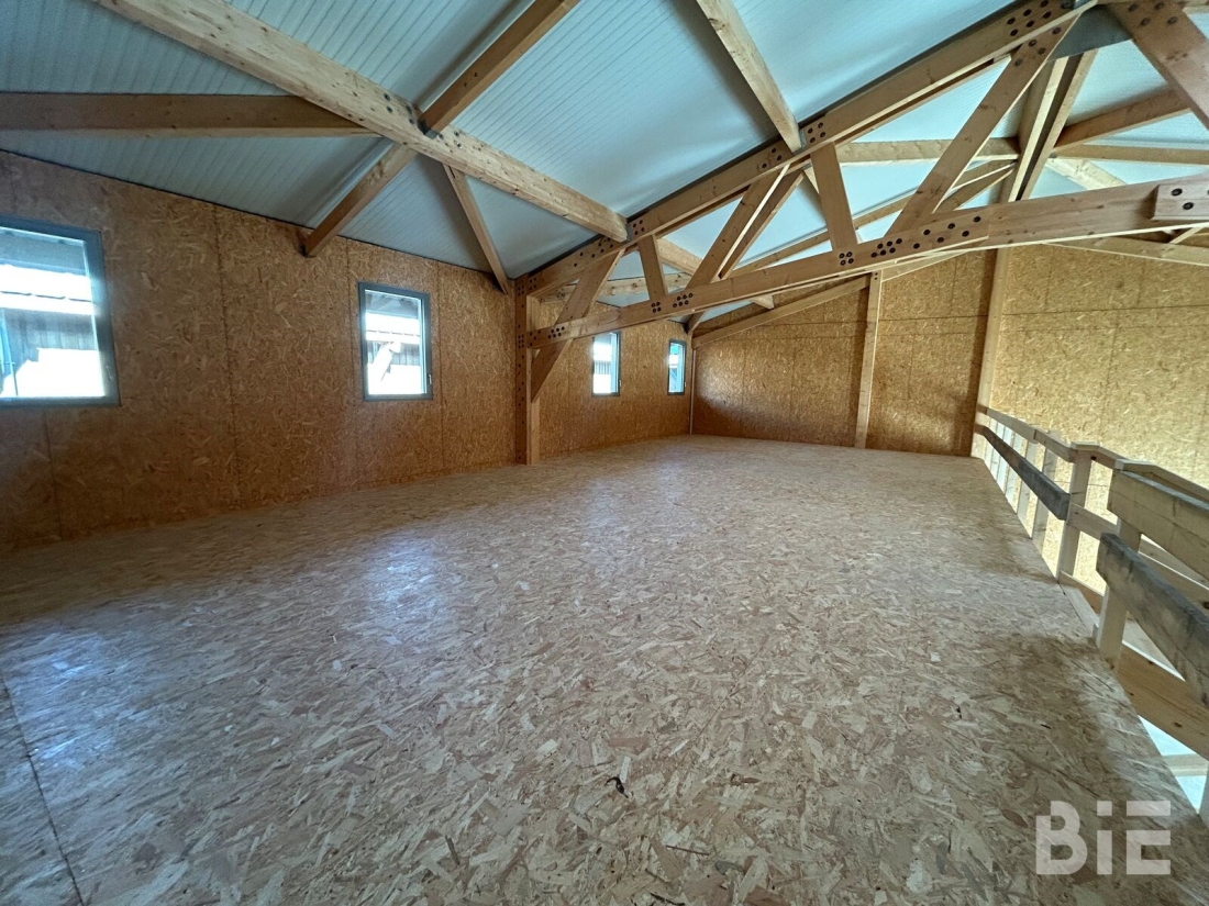 Photo 7 – Vente entrepôts / activités	LE HAILLAN (33185)