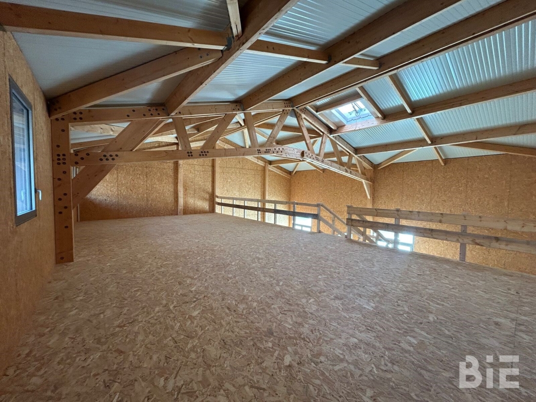 Photo 8 – Vente entrepôts / activités	LE HAILLAN (33185)