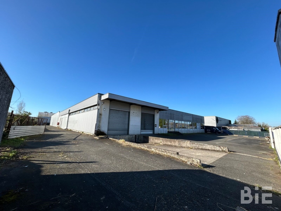 Photo 1 – Vente entrepôts / activités	BORDEAUX (33300)